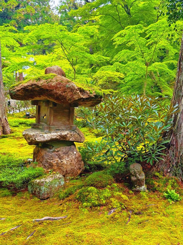 適合女生一個人旅行嘅請
