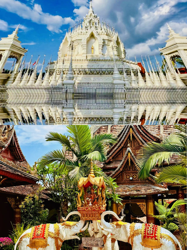 西雙版納，必玩之旅！