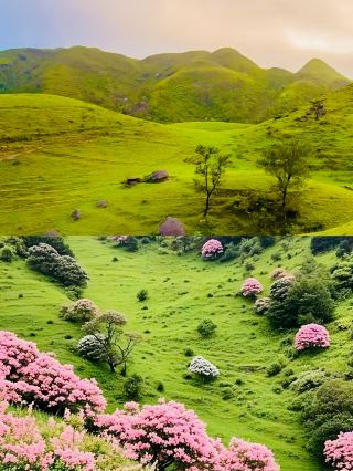 Guangdong's Hidden Gem! Yangjiang's Qixing Village Steps into a Real-Life Fairy Tale!