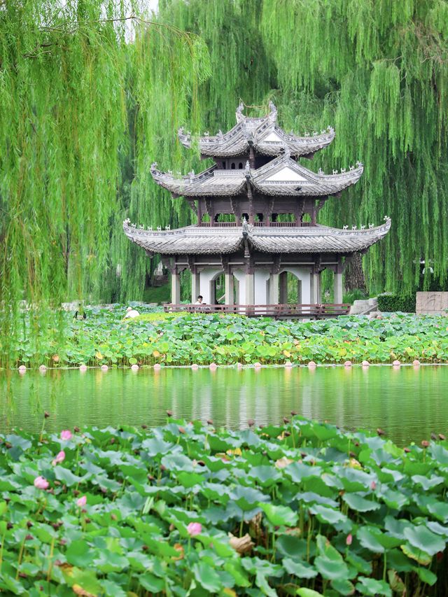 避暑又影相？北京好逛公園大賞！