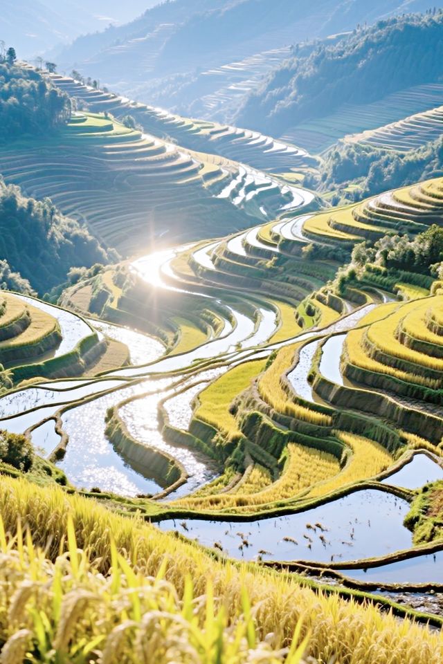 梯田—天顏