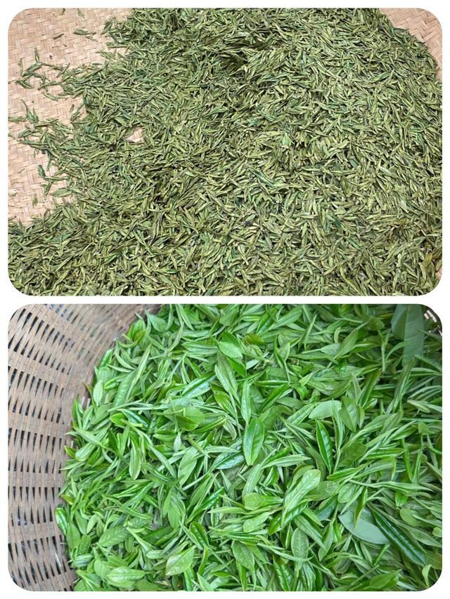 快嚟龍井村品茶行山 將春天嘅味道帶返屋企
