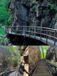 避暑秘境九龍潭，山谷徒步賞九潭連珠