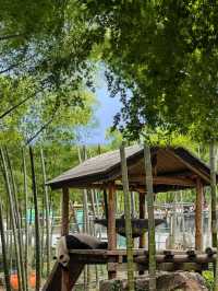 南山竹海暑假一日遊