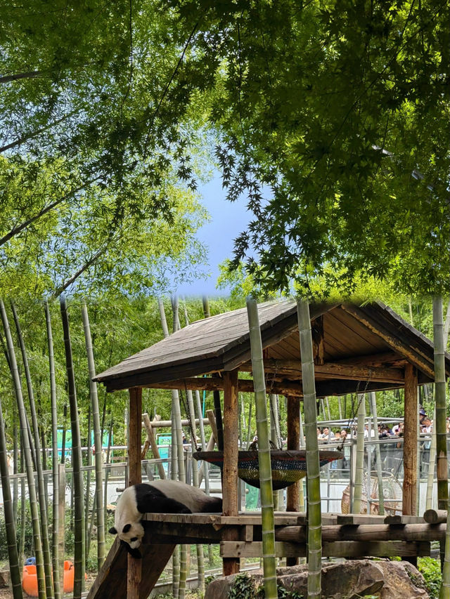 南山竹海暑假一日遊