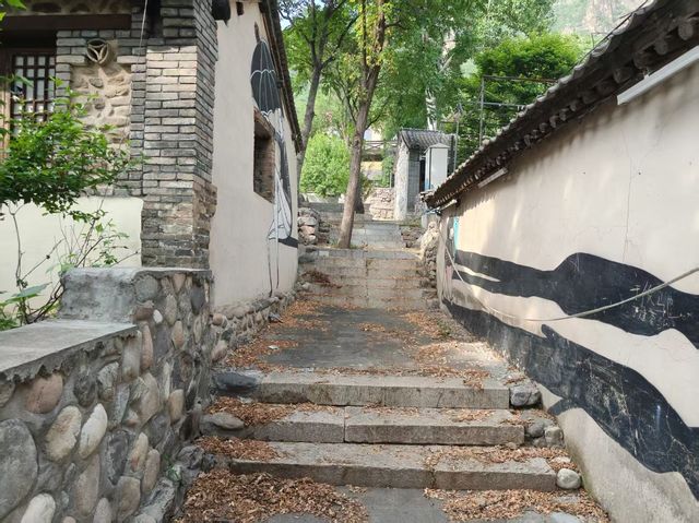住山行曼記民宿與山野間的藝術奇遇