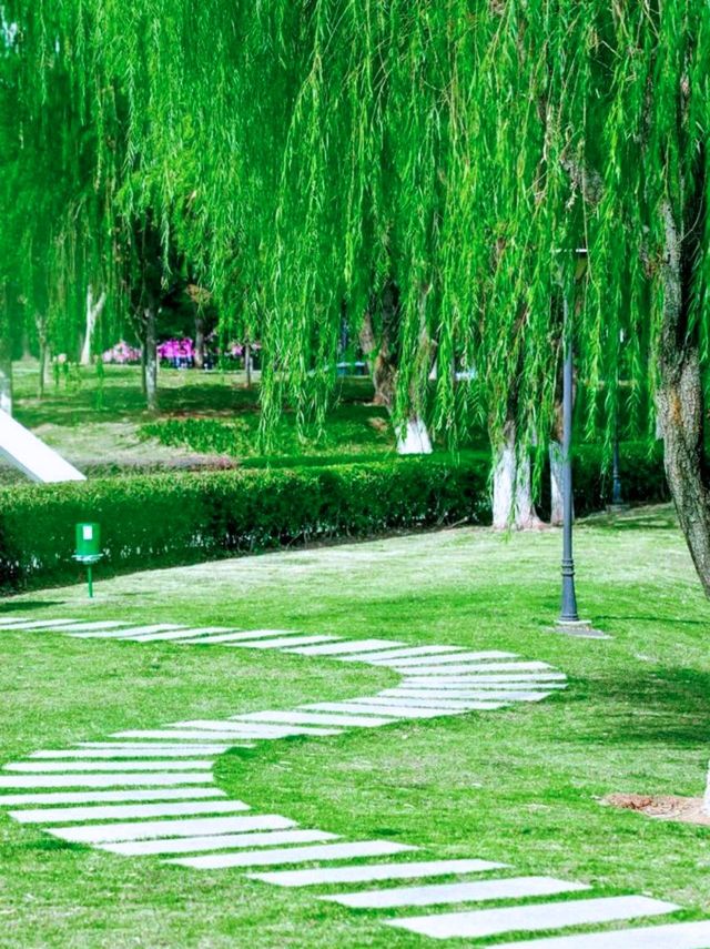 長沙星沙影相指南：呢3個地方太易出大片！