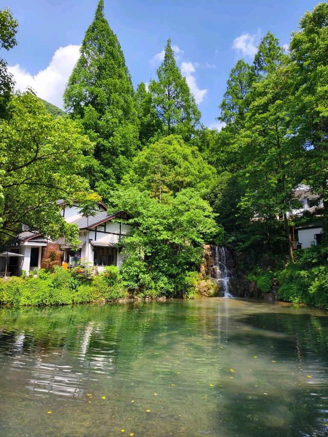 Too Hot to Be Out in Nature? This might be just the place for you!