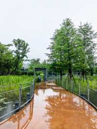 錢江三橋濱江東側，江景壯闊，步道優美