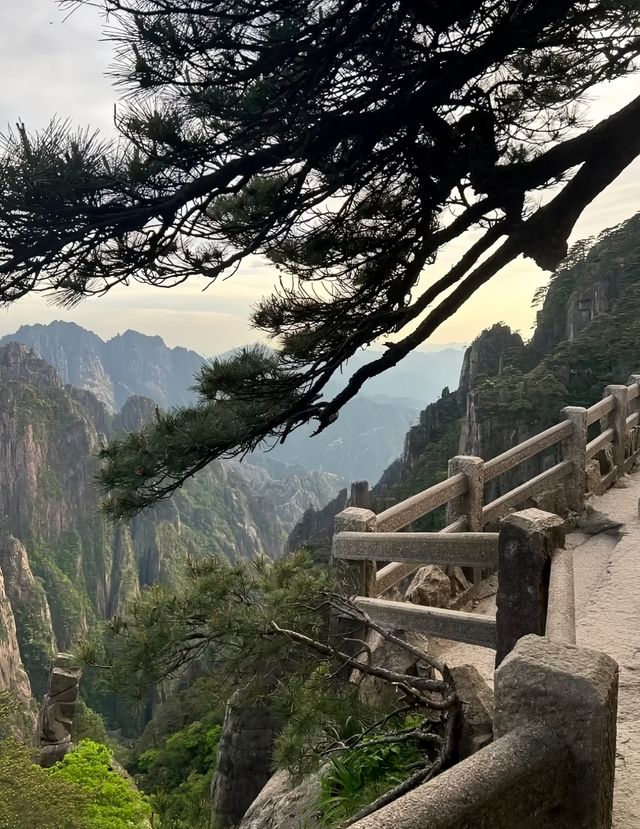 黃山風景區勸退警告：帶老人小孩尤其要注意這3個細節！