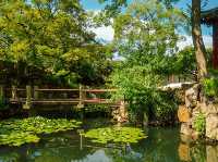 Suzhou’s 9 UNESCO Gardens Ranked for Timeless Charm 🎍