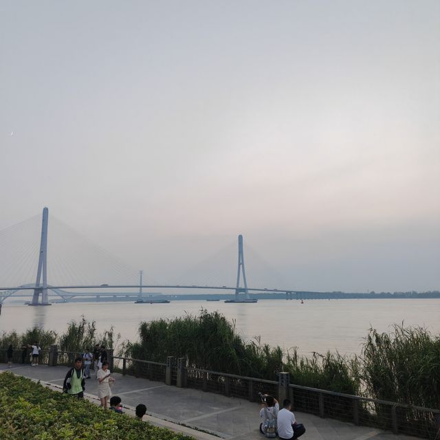 魚嘴濕地最美夕陽地