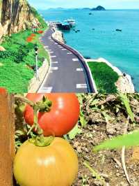 我心中排名第一嘅海島出現，花鳥島啦