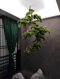 好精緻嘅餐廳呀