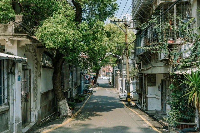 潮起思明：觸摸閩南千年的呼吸與心跳