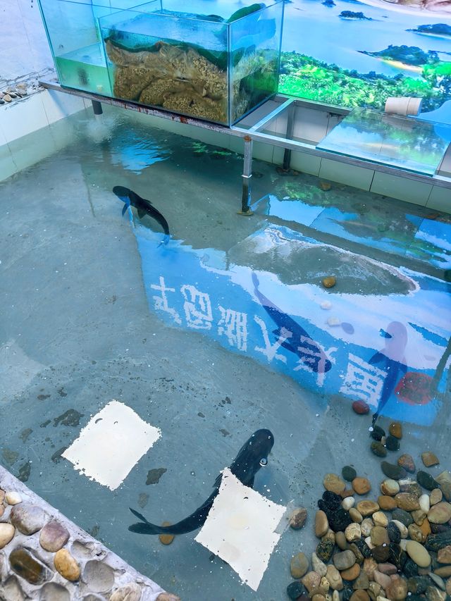 杭州青花椒魚寶藏店喺邊？我搵到啦！