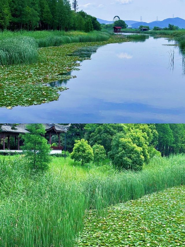 蘇州太湖裸心泊，帶你解鎖夏日玩水新姿勢！