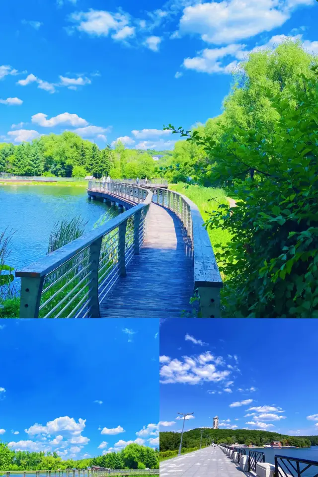 The Ultimate Guide to Changchun Jingyuetan: Enjoy Year-Round Fun in the "Largest Man-Made Forest Sea"