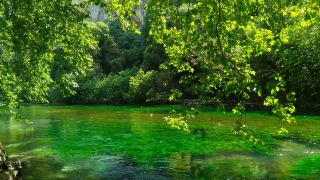 Fontaine-de-Vaucluse: The Mint Candy of Provence