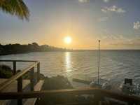 Paradise Cove Delivers Again