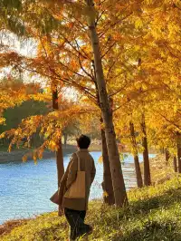 上海最好的公園都是免費的（合集附位置）