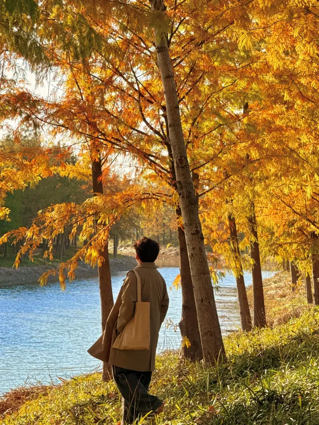 上海最好的公園都是免費的（合集附位置）