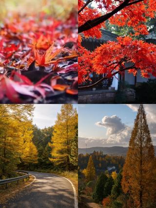 Just got back from Siming Mountain! The ultimate autumn scenery in Jiangsu, Zhejiang, and Shanghai is breathtaking