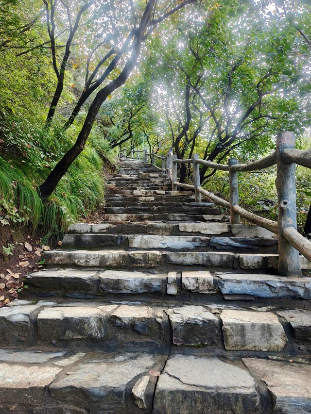 北京坡峰嶺｜絕美紅葉天花板秋天必衝！