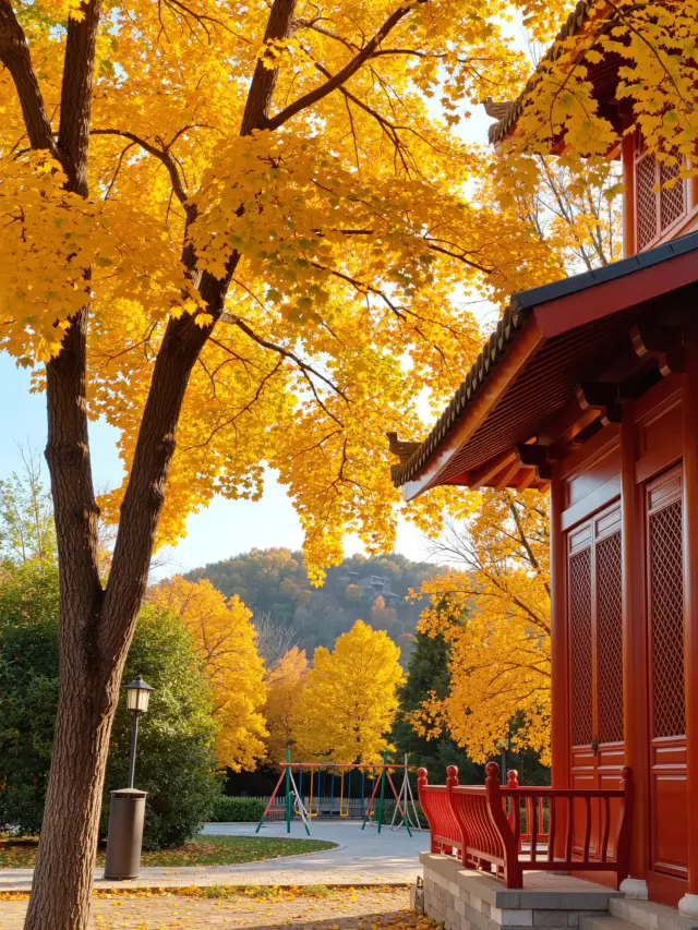 Dahong Mountain in Suizhou｜Step into an autumn fairy tale world, miss it and wait another 365 days!