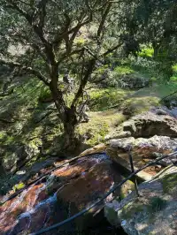 江浙最美徒步路線|走馬崗香榧林（附攻略）