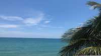 椰林海景拍攝聖地