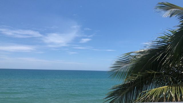 椰林海景拍攝聖地