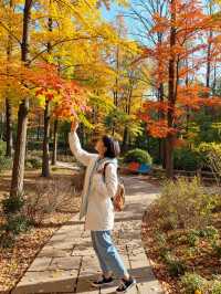 北京秋天私藏路線｜帝都紅葉季浪漫限定指南