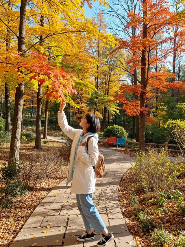 北京秋天私藏路線｜帝都紅葉季浪漫限定指南