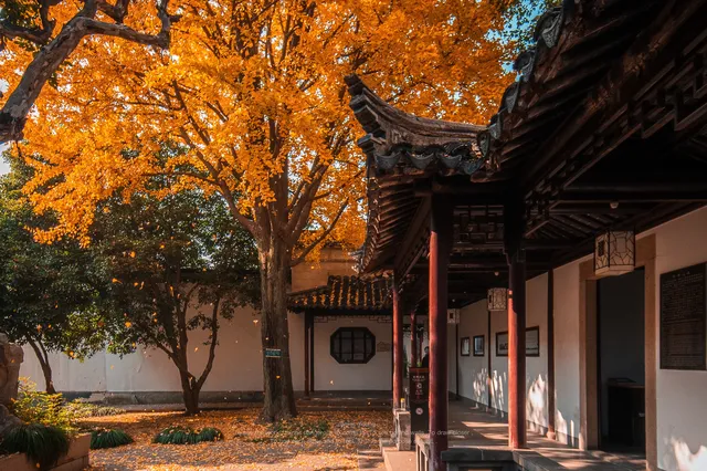 接下來的蘇州將是封神級別的秋景