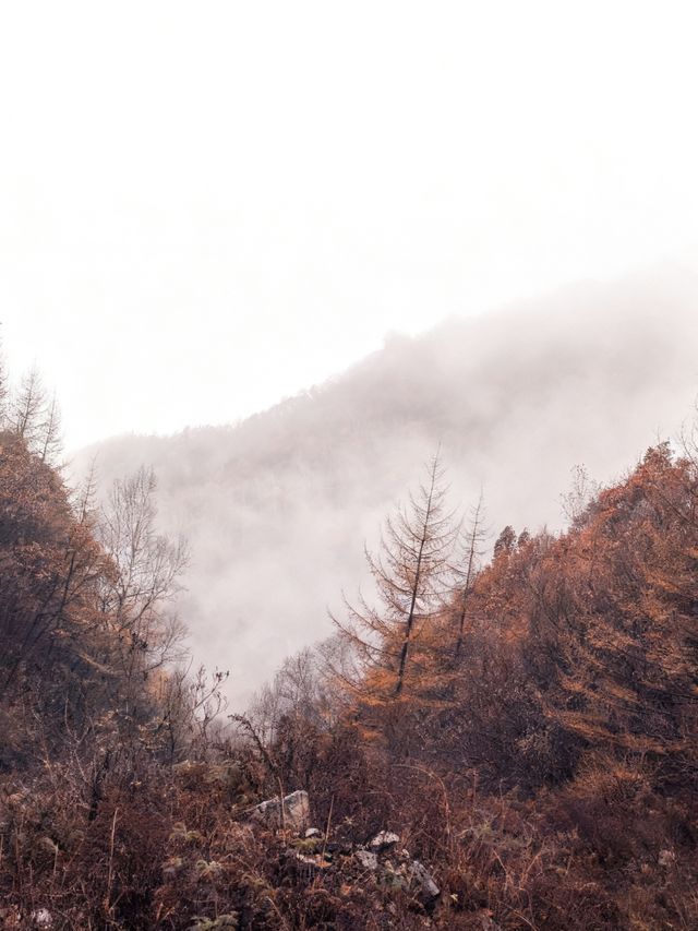 河北“小黃山”秘境大揭秘！12公里徒步，獨享山野的野趣與震撼