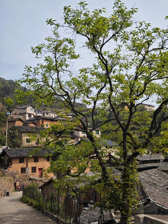 麗水松陽古村｜深藏山坳有人家 時光在此慢下來