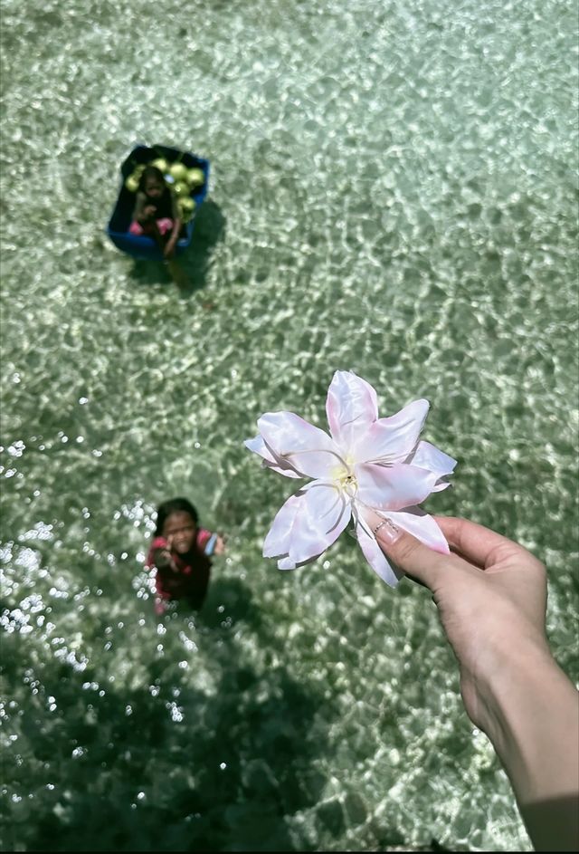 馬來西亞仙本那超全攻略來啦! 寶子們,作為免簽國,馬來西亞真的超適合第一次出國的朋友們哦!不僅有豐富 馬來西亞仙本那超全攻略來啦! 寶子們,作為免簽國,馬來西亞真的超適合第一次出國的朋友們哦!不僅有豐富