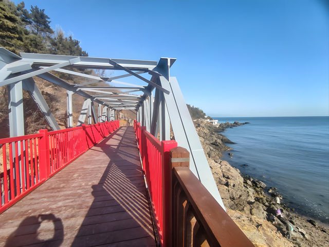 大連5日遊|寶藏級攻略玩法,碼住 大連5日遊|寶藏級攻略玩法,碼住