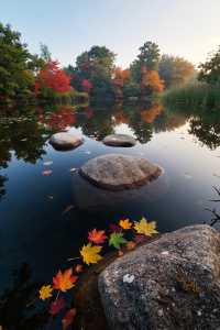 雲平山｜上帝打翻了秋天的調色盤小眾仙境太絕了