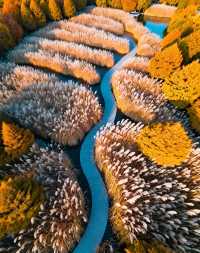 打卡唐風秋韻|邂逅城市邊的詩意與溫柔|收穫滿滿的治癒與快樂