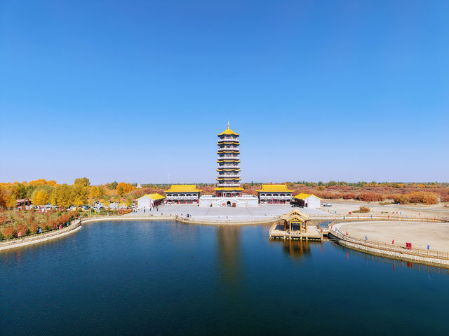 金秋必衝!金塔胡楊林500字治癒系攻略 金秋必衝!金塔胡楊林500字治癒系攻略