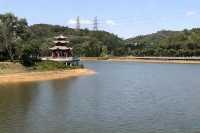 帶你玩轉深圳這座「未來感」與「煙火氣」並存的寶藏城市