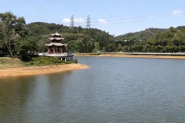 帶你玩轉深圳這座「未來感」與「煙火氣」並存的寶藏城市