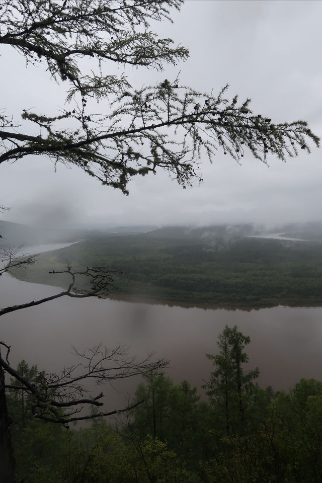 幸運地摸到了花栗鼠，毛茸茸的