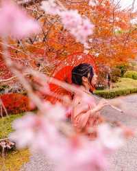 奈良秋季紅葉打卡指南收藏這篇就夠了！