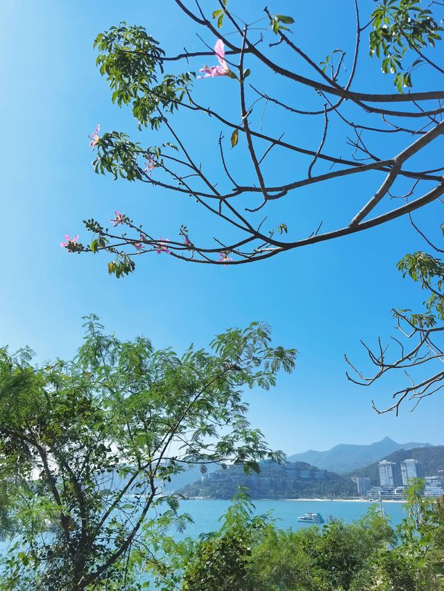 “深圳的盡頭” - 背仔角燈塔 