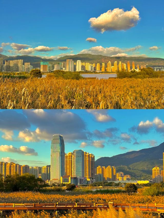 秋日童話裡的免費蘆葦棧道