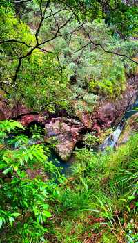 秘境森林徒步路線