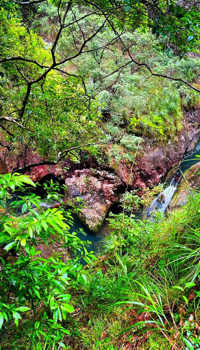 秘境森林徒步路線